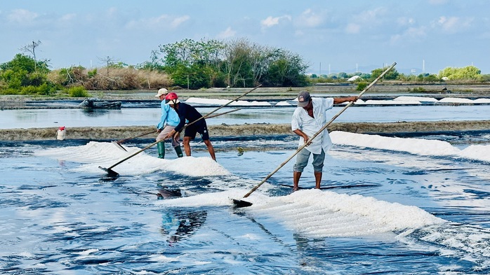 Giữ vị mặn tr&ecirc;n đồng muối An Ng&atilde;i - Ảnh 4.