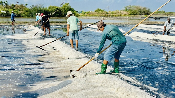 Giữ vị mặn tr&ecirc;n đồng muối An Ng&atilde;i - Ảnh 5.