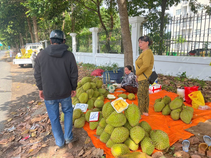 CLIP: Nh&agrave; vườn ở Cần Thơ "đổ bộ" ra vỉa h&egrave; b&aacute;n sầu ri&ecirc;ng, gi&aacute; chỉ từ 20.000 đồng/kg - Ảnh 1.
