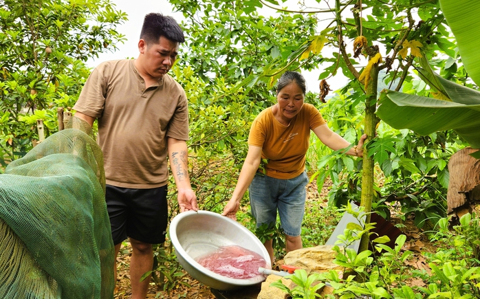 Vụ nước giếng khoan đổi m&agrave;u t&iacute;m ở Thanh H&oacute;a: C&aacute;c chỉ số cao bất thường - Ảnh 1.