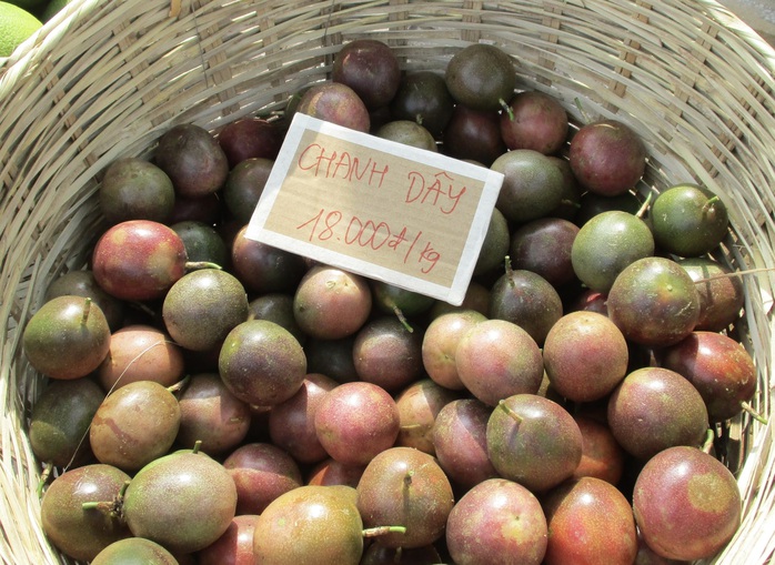 The Vietnamese fruit taking Europe by storm - Ảnh 2.
