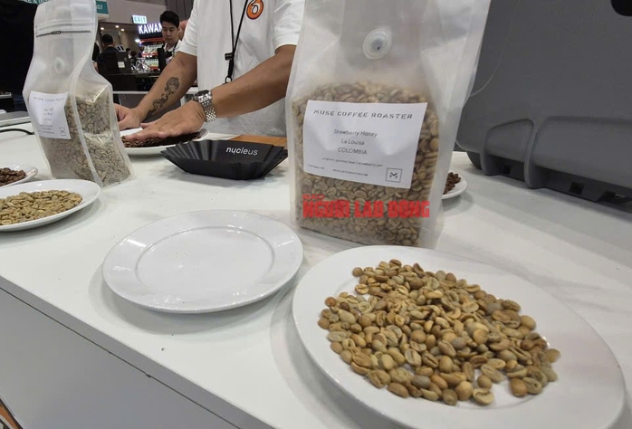 Gi&aacute; c&agrave; ph&ecirc; h&ocirc;m nay 8 - 5: Robusta tăng li&ecirc;n tiếp , Arabica giảm s&acirc;u - Ảnh 2.
