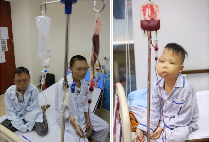 14 triệu người Việt mang gen thalassemia m&agrave; kh&ocirc;ng hay biết - Ảnh 4.