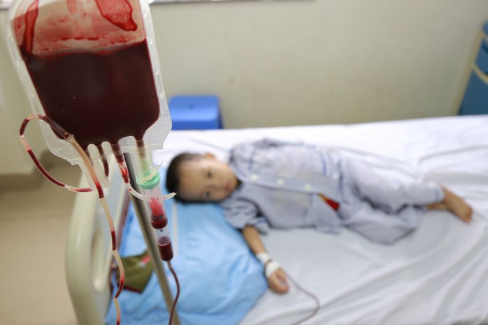 14 triệu người Việt mang gen thalassemia m&agrave; kh&ocirc;ng hay biết - Ảnh 1.