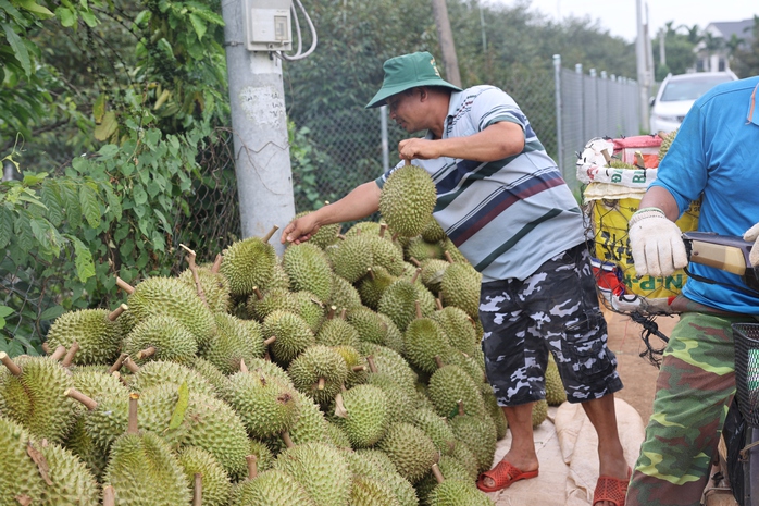 "Tấm v&eacute; th&ocirc;ng h&agrave;nh" cho n&ocirc;ng sản xuất khẩu - Ảnh 4.