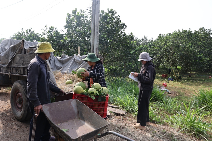 "Tấm v&eacute; th&ocirc;ng h&agrave;nh" cho n&ocirc;ng sản xuất khẩu - Ảnh 3.