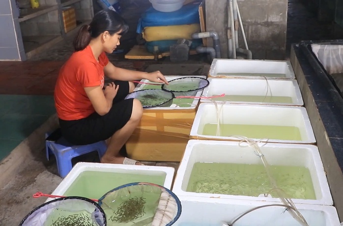 Những "vi&ecirc;n ngọc biết bơi" của n&ocirc;ng nghiệp đ&ocirc; thị TPHCM - Ảnh 4.