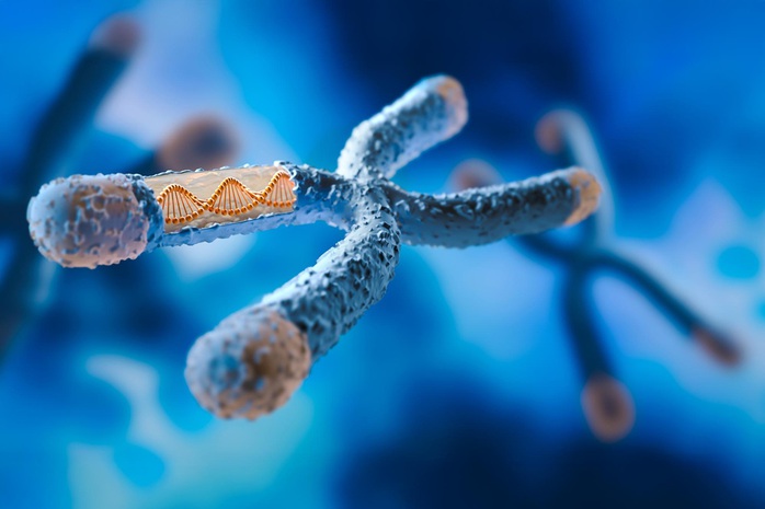 Một lỗi DNA có thể biến chuột cái thành đực: Hy vọng cho con người - Ảnh 1.