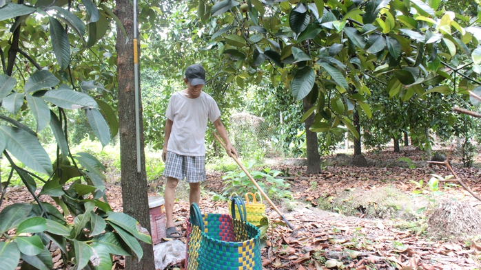 Giữ màu xanh ven sông Sài Gòn - Ảnh 1.