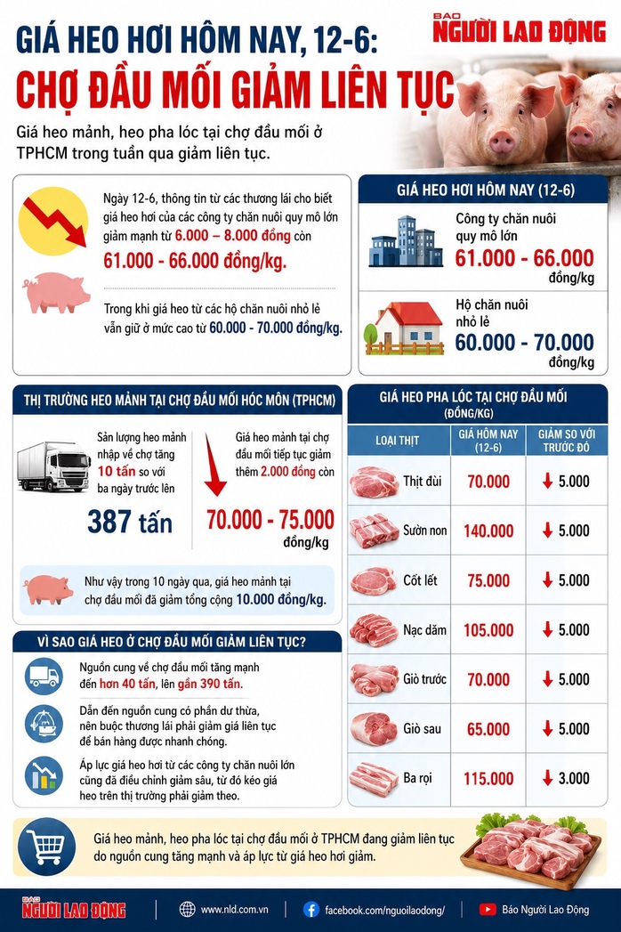 - Ảnh 2. - Ảnh 2.