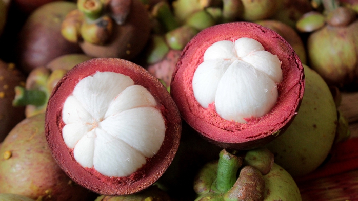 Giữ màu xanh ven sông Sài Gòn - Ảnh 5.