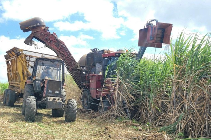 Đường lậu, kh&ocirc;ng r&otilde; nguồn gốc vẫn tr&agrave;n lan - Ảnh 1.
