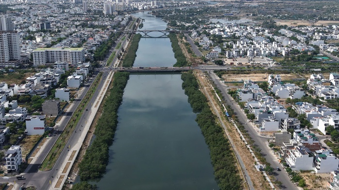 Khánh Hòa: Chi 572 triệu đồng để chặt hàng cây xanh rì dọc sông Quán Trường? - Ảnh 1.
