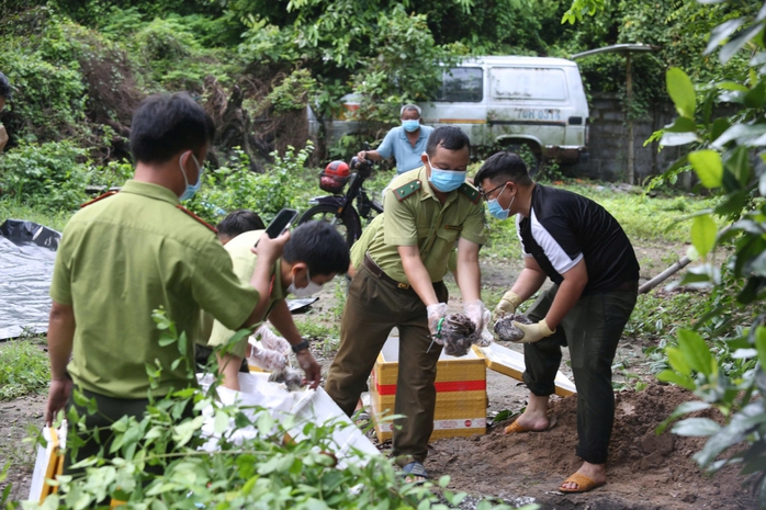Tây Ninh tiêu hủy 127kg thằn lằn núi Bà Đen vi phạm pháp luật 2026 - Ảnh 1. Tây Ninh tiêu hủy 127kg thằn lằn núi Bà Đen vi phạm pháp luật 2026 - Ảnh 1.