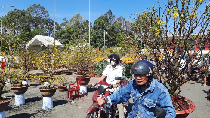 "Lá phổi xanh" giữa lòng phố thị - Ảnh 5.