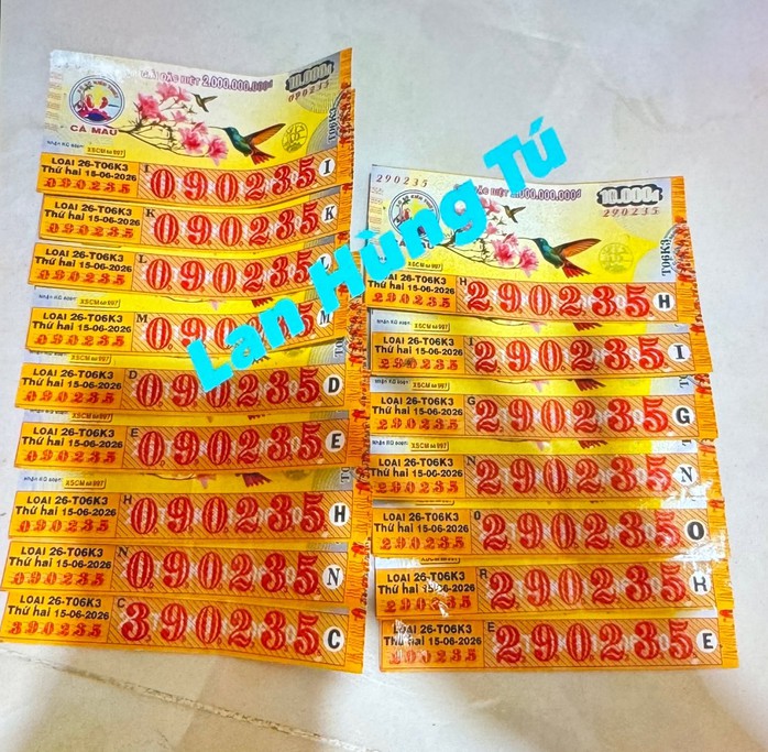 Hai giải độc đắc, 2 giải an ủi xổ số miền Nam lộ diện ở 2 tỉnh - Ảnh 3.