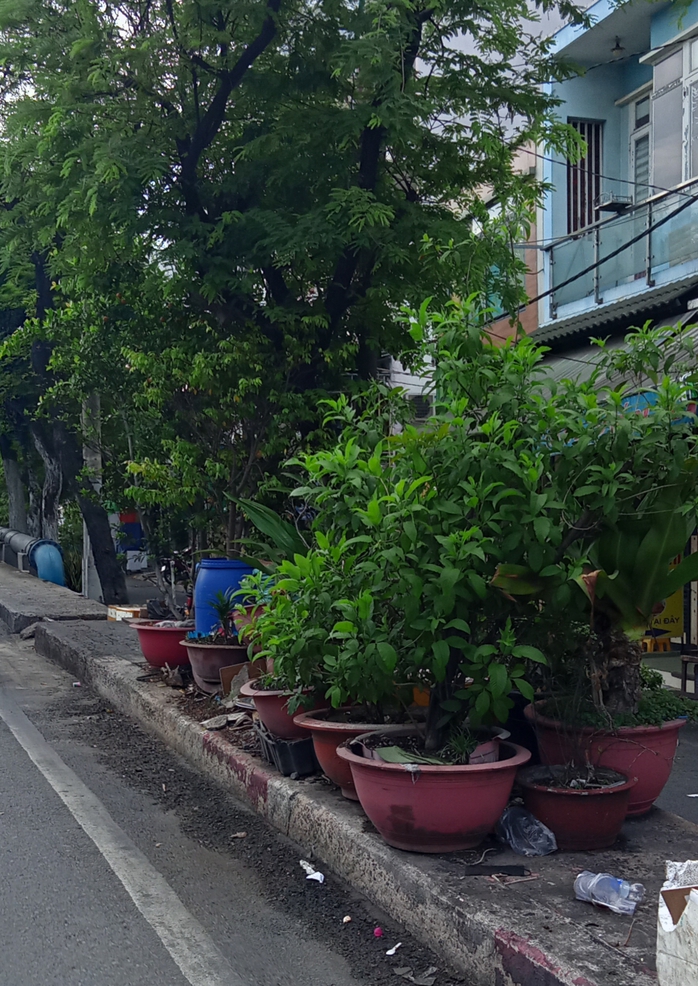 Chiếm dụng lối đi bộ - Ảnh 1.