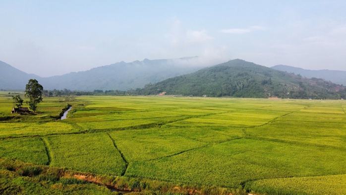  Giữ màu xanh cho đồng ruộng - Ảnh 3.