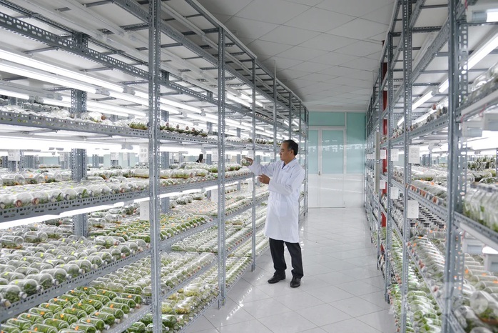 "Lớp học xanh" giữa l&ograve;ng đ&ocirc; thị - Ảnh 3.