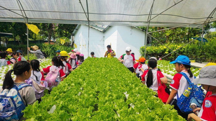 "Lớp học xanh" giữa l&ograve;ng đ&ocirc; thị - Ảnh 2.