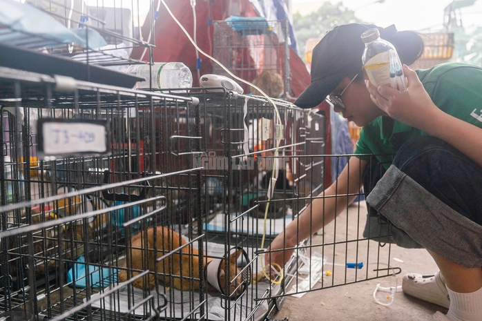  Công an TPHCM "lập bệnh viện dã chiến" đặc biệt cứu sống hơn 400 bé mèo - Ảnh 18.