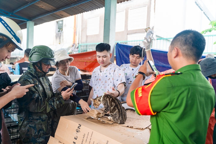 VIDEO: C&ocirc;ng an TPHCM "lập bệnh viện d&atilde; chiến" đặc biệt cứu sống hơn 400 b&eacute; m&egrave;o - Ảnh 21.