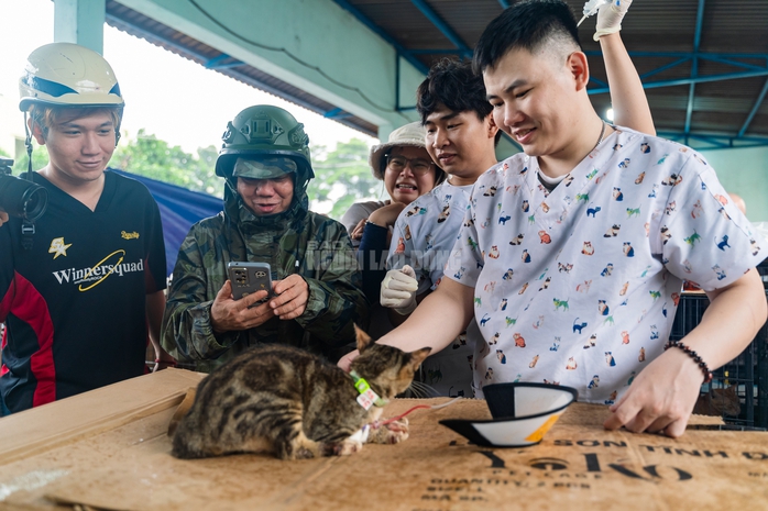  Công an TPHCM "lập bệnh viện dã chiến" đặc biệt cứu sống hơn 400 bé mèo - Ảnh 23.