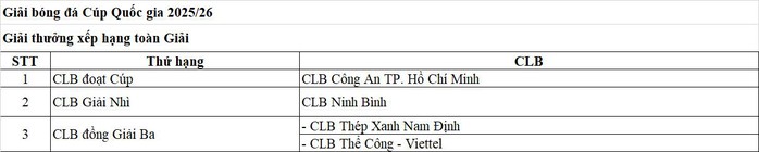 Dấu mốc 25 năm và khát vọng nâng tầm bóng đá chuyên nghiệp Việt Nam - Ảnh 7.