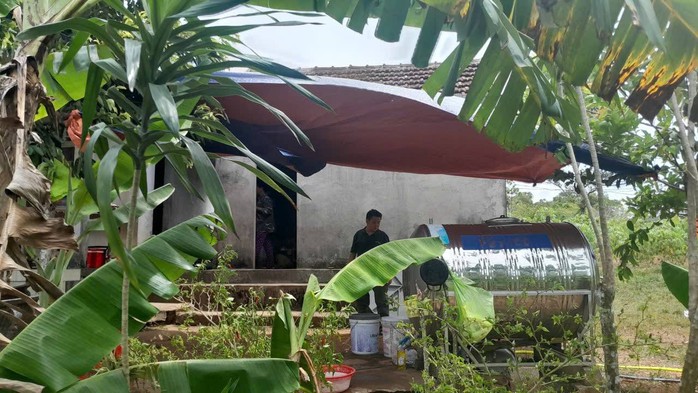 Người phụ nữ tử vong sau khi bị rắn độc cắn khi vào rừng hái cây thuốc nam - Ảnh 1.