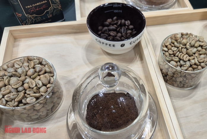 Gi&aacute; c&agrave; ph&ecirc; h&ocirc;m nay 17-6: Arabica b&ugrave;ng nổ, Robusta nối d&agrave;i chuỗi tăng - Ảnh 1.