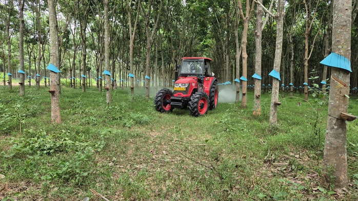 Dự báo giá cao su năm 2030 có thể đạt 3 . 300 USD / tấn Theo VRG - Ảnh 3. Dự báo giá cao su năm 2030 có thể đạt 3 . 300 USD / tấn Theo VRG - Ảnh 3.