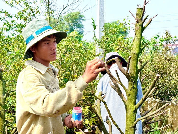 Nơi sắc xuân bén rễ trên vùng đất phèn - Ảnh 2.