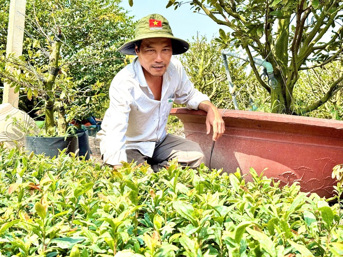 Nơi sắc xuân bén rễ trên vùng đất phèn - Ảnh 3.