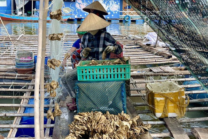 H&agrave;u Th&aacute;i B&igrave;nh Dương mở lối "nu&ocirc;i biển" bền vững - Ảnh 2.