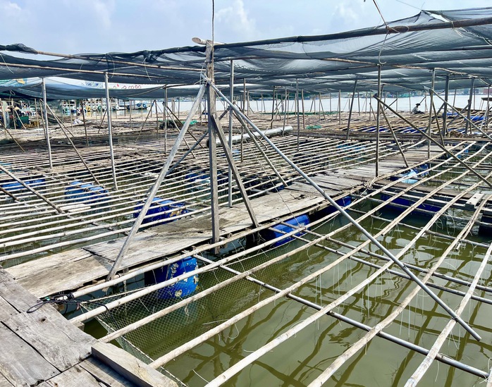 H&agrave;u Th&aacute;i B&igrave;nh Dương mở lối "nu&ocirc;i biển" bền vững - Ảnh 1.