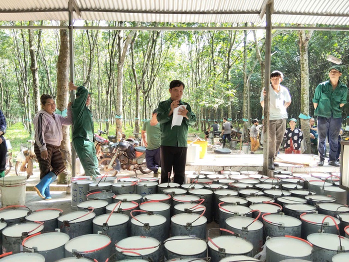 Từ vườn cao su đến bằng khen của Thủ tướng - Ảnh 1. Từ vườn cao su đến bằng khen của Thủ tướng - Ảnh 1.