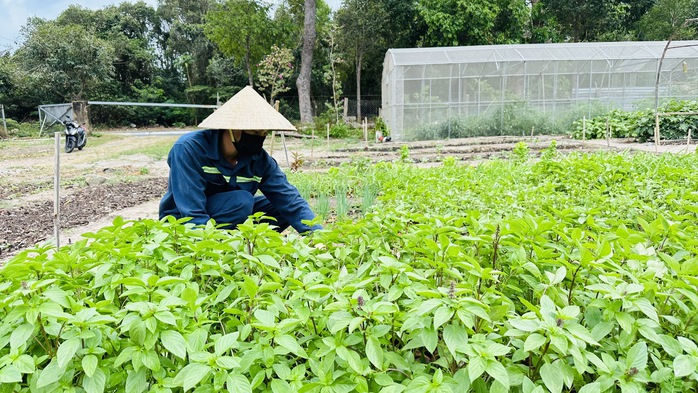 Biến rác thành phân hữu cơ - Ảnh 4.
