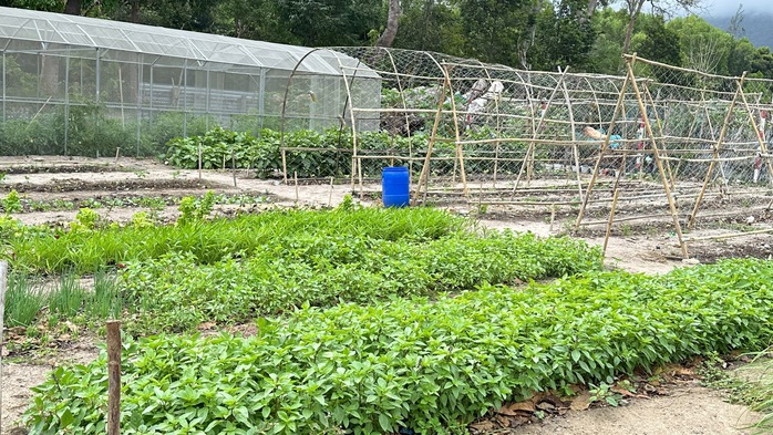 Biến rác thành phân hữu cơ - Ảnh 5.