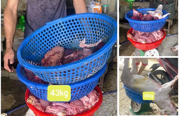 Khởi tố người phụ nữ câu kết mua heo dịch về giết mổ bán kiếm lời - Ảnh 2.