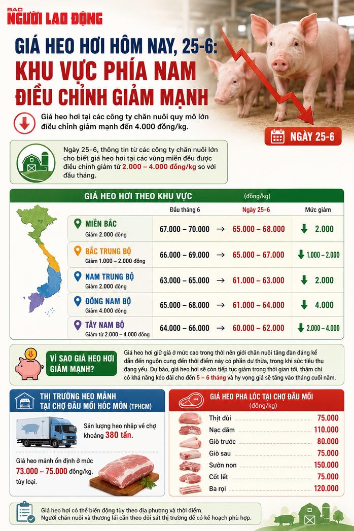 Gi&aacute; heo hơi h&ocirc;m nay, 25-6: Khu vực ph&iacute;a Nam điều chỉnh giảm mạnh - Ảnh 2.