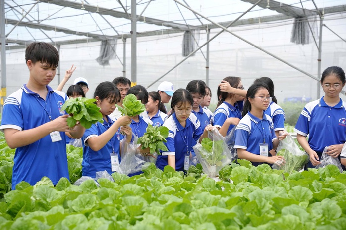 100 học sinh trải nghiệm nghề truyền thống v&agrave; n&ocirc;ng nghiệp c&ocirc;ng nghệ cao - Ảnh 3.