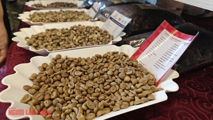 Gi&aacute; c&agrave; ph&ecirc; h&ocirc;m nay 27-6: Robusta giao ngay vẫn "n&oacute;ng" - Ảnh 1.
