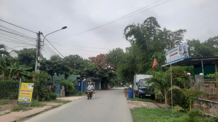 "L&agrave;ng th&ocirc;ng minh" giữa c&ugrave; lao bưởi trăm năm - Ảnh 5.