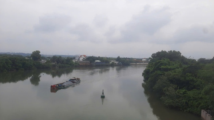 "L&agrave;ng th&ocirc;ng minh" giữa c&ugrave; lao bưởi trăm năm - Ảnh 4.