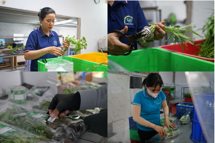 "Đ&aacute;nh thức" đất bỏ hoang bằng n&ocirc;ng nghiệp số - Ảnh 6.