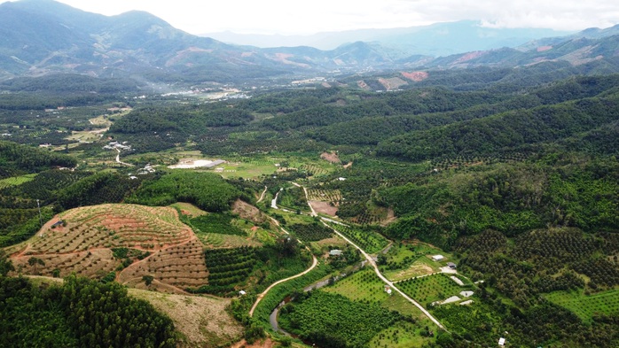 Gỡ nút thắt mặt bằng, tăng tốc đường liên vùng Khánh Hòa - Lâm Đồng - Ninh Thuận - Ảnh 3.