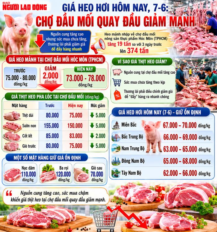 Gi&aacute; heo hơi h&ocirc;m nay, 7-6: Chợ đầu mối quay đầu giảm mạnh - Ảnh 2.