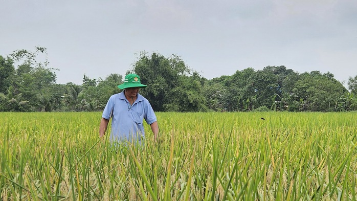 Từ cánh đồng hữu cơ đến thương hiệu OCOP vùng ven đô - Ảnh 5.