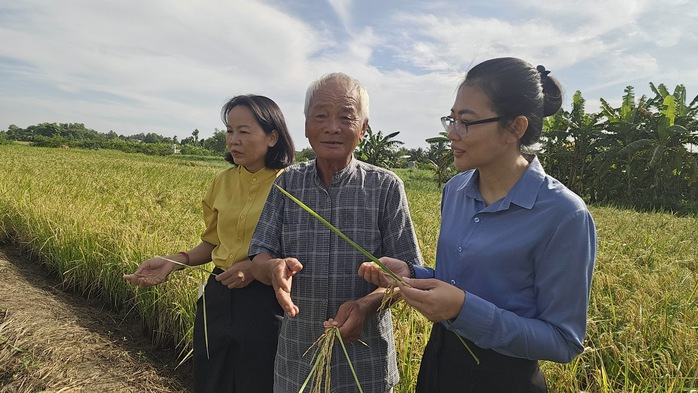 Từ cánh đồng hữu cơ đến thương hiệu OCOP vùng ven đô - Ảnh 4.