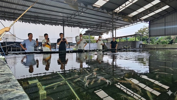 Biến chất thải thành tài nguyên, nuôi mực biển giữa lòng đô thị - Ảnh 5.